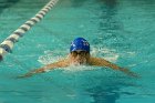Swimming vs Bentley  Wheaton College Swimming & Diving vs Bentley College. - Photo by Keith Nordstrom : Wheaton, Swimming & Diving